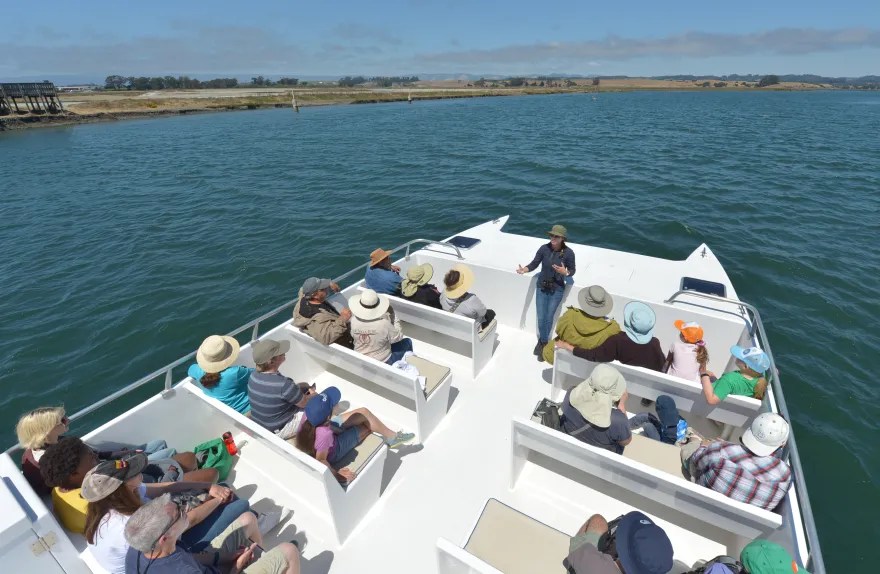 Naturalist describes the nature and wildlife passengers can view abard the El Cat, Monterey Bay Eco Tours fully electric, cutom designed bot.